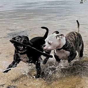 Meet your Posher, Evelio